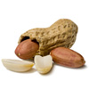 Tropical Medical Fruit of Florida - www.tropicalmedicalfruit.com