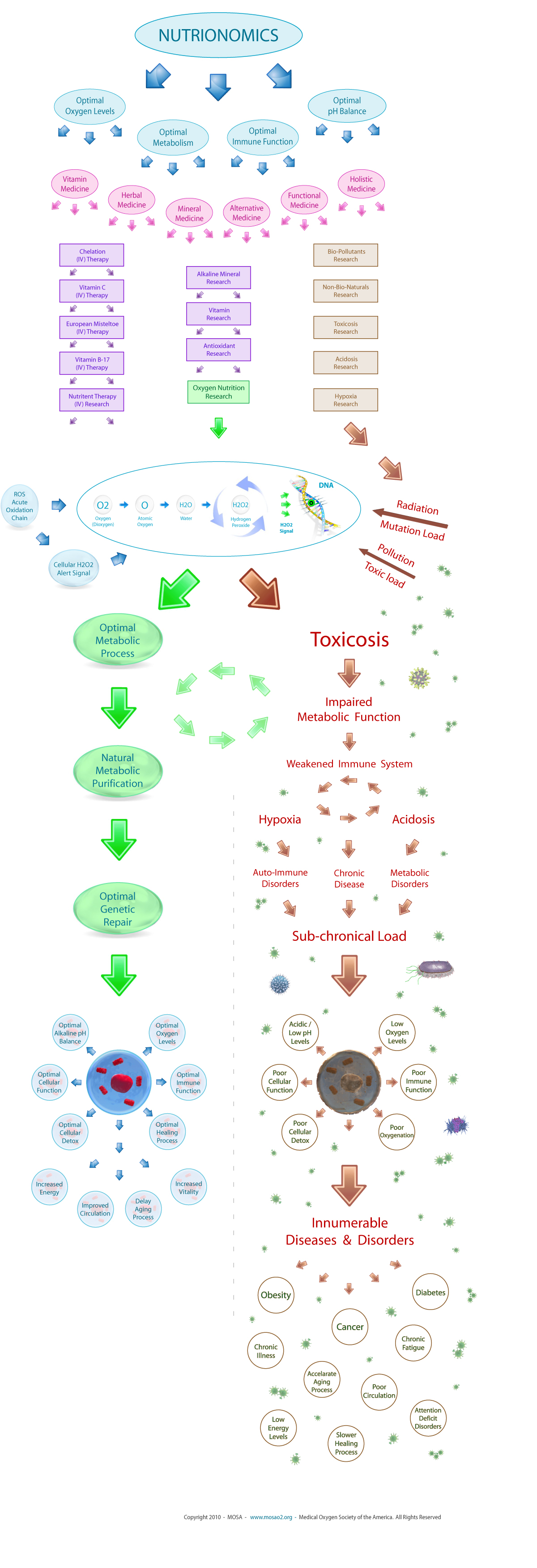 Oxygen Medicine - Diagram X - MOSA - Medical Oxygen Society of the Americas - www.mosao2.org
