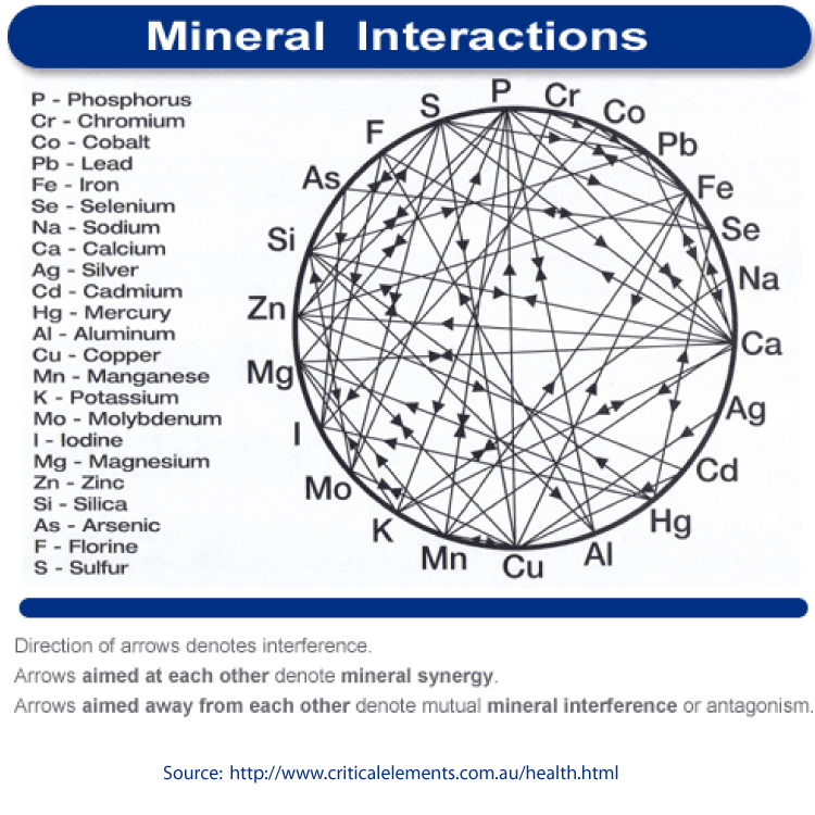 Mineral Wheel - Mineral Interaction - MOSA - Nutrionomics - Medical Oxygen Society of the Americas